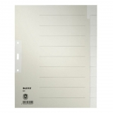 Papierregister Blanko A4 10BL grau